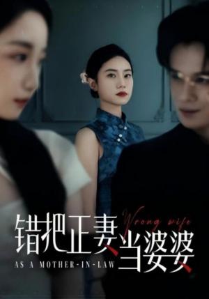 《错把正妻当婆婆（46集）张英杰&张耀尹（夸克网盘）》短剧封面