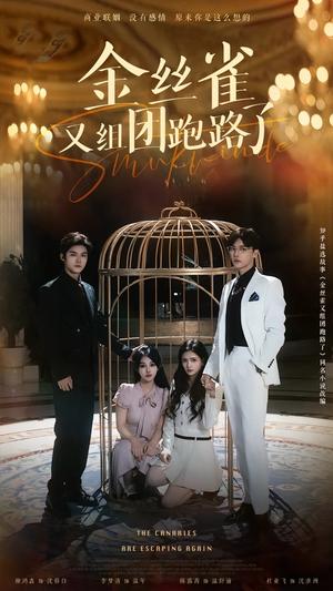《金丝雀又组团跑路了(长篇)谢鸿鑫&杜亚飞(夸克网盘)》短剧封面