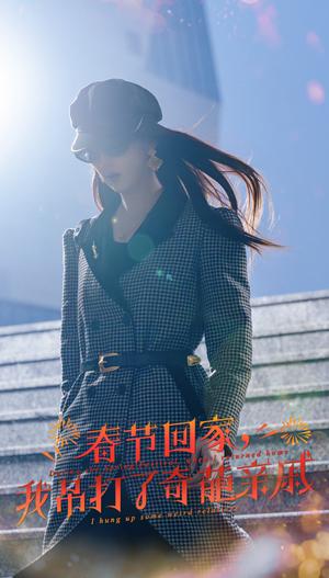 《爆竹声中谙世路&春节回家我吊打了奇葩亲戚（30集）金鑫欣（夸克网盘）》短剧封面