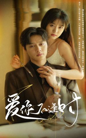 《闻是无儿白发明(30集)(夸克网盘)》短剧封面