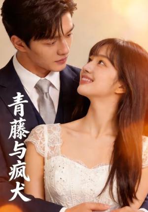 《青藤与疯犬（16集）（夸克网盘）》短剧封面