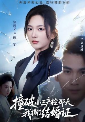 《撞破小三产检那天,我撕了结婚证(70集)张炯艾&李思杨(夸克网盘)》短剧封面