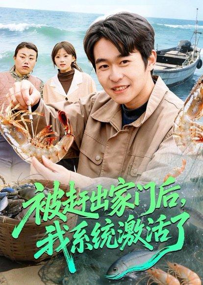 《被赶出家门后,我系统激活了(81集)丛恺凡&杜美丽(百度网盘)》短剧封面