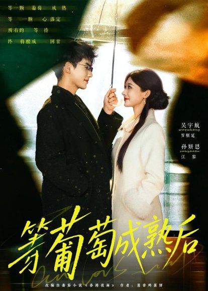 《等葡萄成熟后（82集）吴宇航＆孙妍恩（百度网盘）》短剧封面