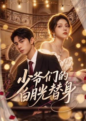 《少爷们的白月光替身（60集）（夸克网盘）》短剧封面