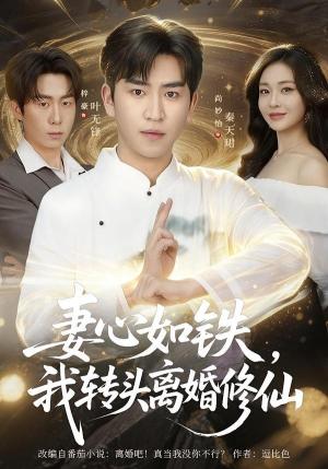 《妻心如铁我转头离婚修仙（81集）梓豪＆尚妙怡（夸克网盘）》短剧封面