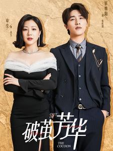 《破茧芳华（80集）（夸克网盘）》短剧封面