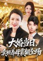 《大婚当日,卖桃养母震翻全场(70集)唐依迪&卢静(百度网盘)》短剧封面