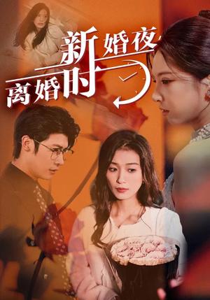 《新婚夜,离婚时(35集)(夸克网盘)》短剧封面
