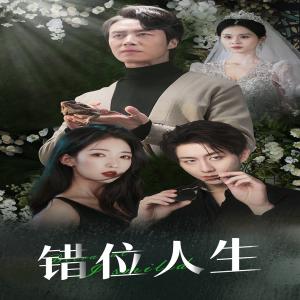 《错位人生&养大他人的儿子后我笑了（33集）（夸克网盘）》短剧封面