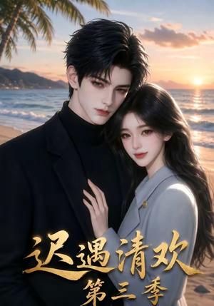 《迟遇清欢第三季(66集)(夸克网盘)》短剧封面