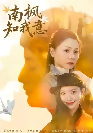 《南枫知我意(41集)徐梦瑶&黄跃峰(夸克网盘)》短剧封面
