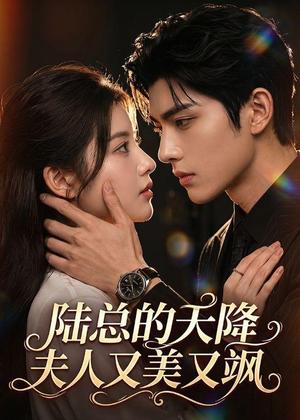 《陆总的天降夫人又美又飒（80集）（夸克网盘）》短剧封面