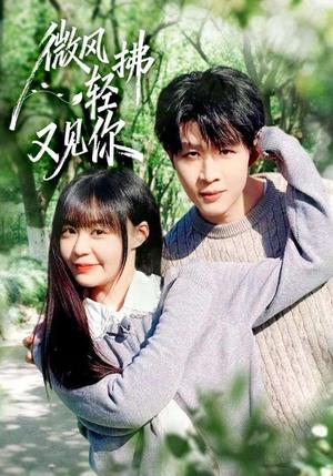 《微风轻拂又见你(66集)王雨博&孙蔚琳(夸克网盘)》短剧封面