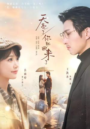 《天亮了,你就回来了(63集)王凯沐&岳雨婷(夸克网盘)》短剧封面