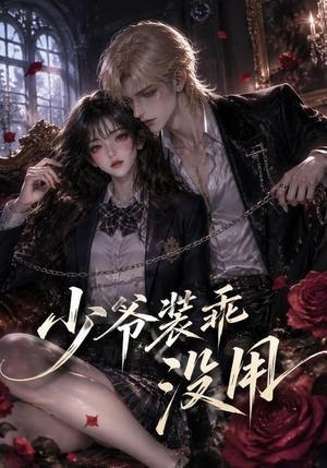 《少爷装乖没用(40集)(夸克网盘)》短剧封面