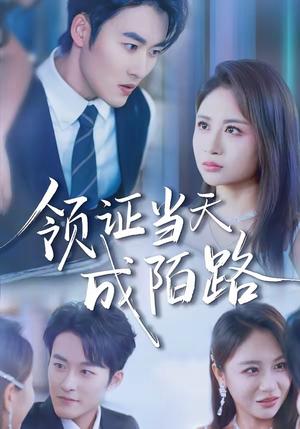 《领证当天成陌路(39集)姜博龙&李佳乐(夸克网盘)》短剧封面