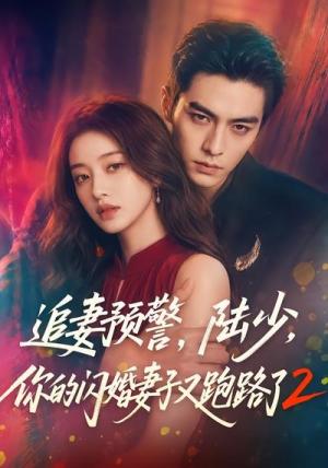 《追妻预警,陆少,你的闪婚妻子又跑路了2(80集)(夸克网盘)》短剧封面