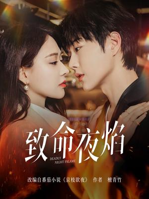 《致命夜焰（80集）王轩&何适（夸克网盘）》短剧封面