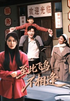 《到此飞鸟不相逢(70集)王鹏&丁海霞(夸克网盘)》短剧封面