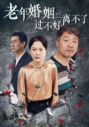 《老年婚姻过不好离不了（50集）（夸克网盘）》短剧封面
