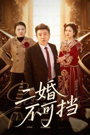 《二婚不可挡（36集）任志宏&杨一（夸克网盘）》短剧封面