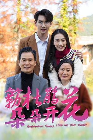《簕杜鹃花朵朵开（38集）（夸克网盘）》短剧封面
