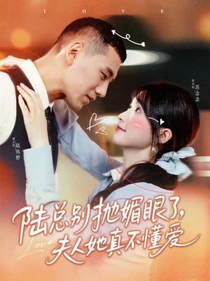 《陆总别抛媚眼了夫人她真不懂爱(71集)王芸菲&王慧龙(夸克网盘)》短剧封面