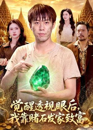 《觉醒透视眼后,我靠赌石发家致富(89集)赵书苑&董秋怡(夸克网盘)》短剧封面