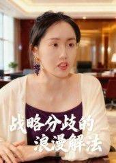 《战略分歧的浪漫解法》短剧封面