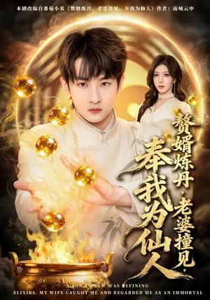 《赘婿炼丹，老婆撞见，奉我为仙人（59集）童家豪&李伊琳（夸克网盘）》短剧封面