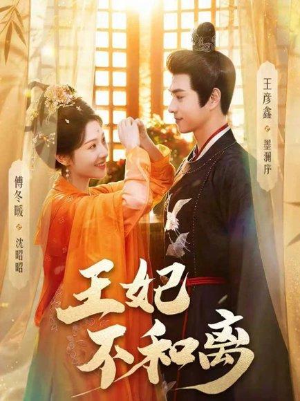 《王妃不和离(80集)王彦鑫&傅冬暖(百度网盘)》短剧封面