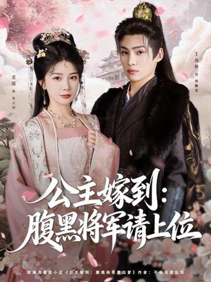 《公主嫁到：腹黑将军请上位》短剧封面