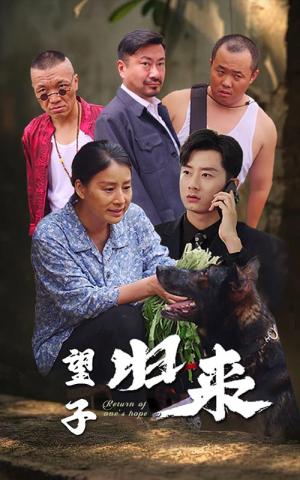 《望子归来（50集）（夸克网盘）》短剧封面
