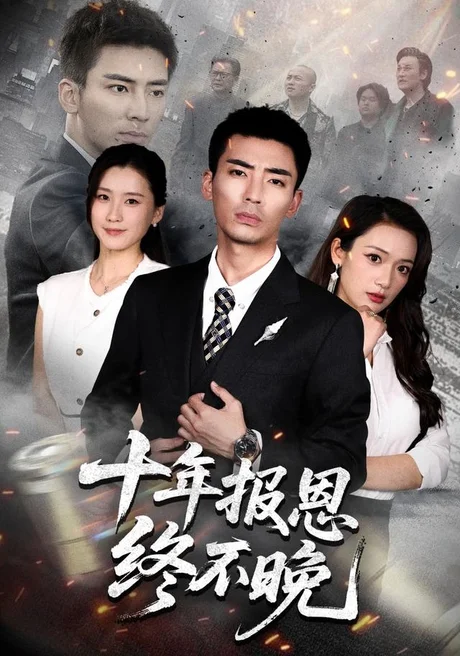 《十年报恩终不晚(87集)张瀚文&周颖&蒋潇林(1080P)(夸克网盘)》短剧封面