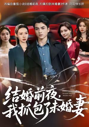 《结婚前夜,我抓包了未婚妻(80集)朱宣甫&赵维怡(夸克网盘)》短剧封面