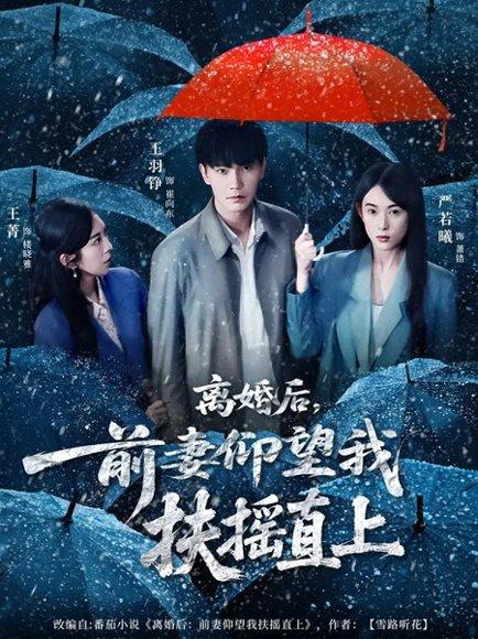 《离婚后，前妻仰望我扶摇直上（84集）王羽铮＆严若曦》短剧封面