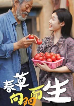 《有妈的孩子(36集)(夸克网盘)》短剧封面