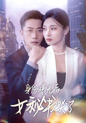 《身份曝光后女秘书哭了（31集）刘雪君&张家川（夸克网盘）》短剧封面