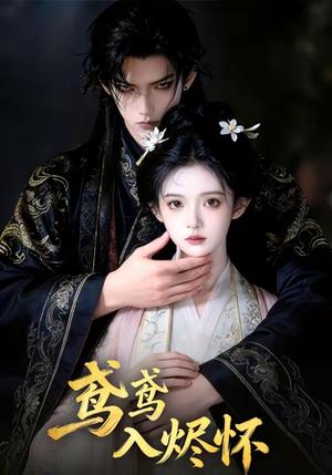《鸢鸢入烬怀（15集）（夸克网盘）》短剧封面