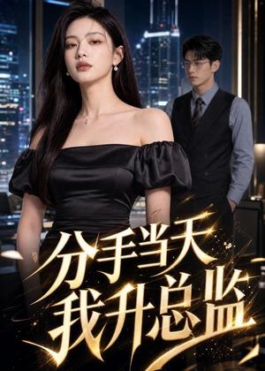 《分手当天我升总监（55集）（夸克网盘）》短剧封面