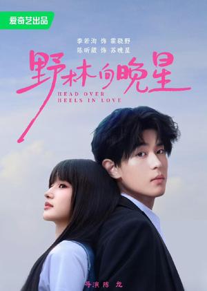 《野林向晚星（66集）李若洵＆陈昕葳（1080P）（夸克网盘）》短剧封面