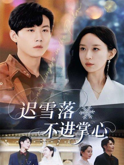 《迟雪落不进掌心（79集）》短剧封面