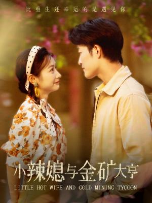 《离婚后我带女儿重回巅峰（71集）（夸克网盘）》短剧封面