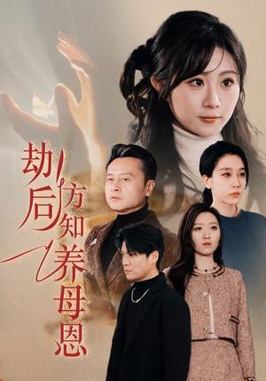 《劫后方知养母恩＆春风拂旧怨（45集）王锦颖（夸克网盘）》短剧封面