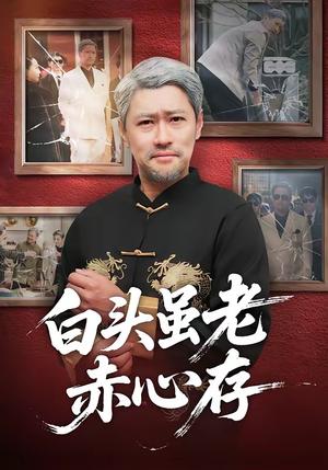 《白头虽老赤心存（71集）王争＆王晨（夸克网盘）》短剧封面