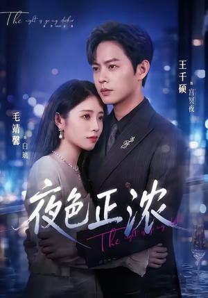 《夜色正浓(65集)王千硕&毛靖馨(夸克网盘)》短剧封面