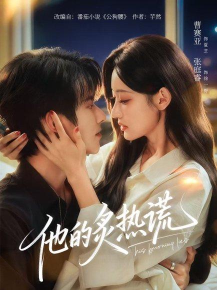 《他的炙热谎》短剧封面