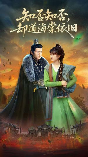 《知否知否却道海棠依旧（100集）邵之鹏&杨帆（夸克网盘）》短剧封面