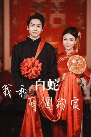 《我和白蛇有个约定（65集）（夸克网盘）》短剧封面